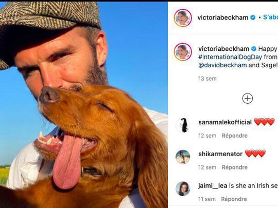 David Beckham